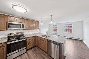 Updated Apartment kicthen for rent
