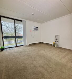 Living room in studio apartment for rent