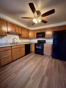 Kitchen in apartment for rent