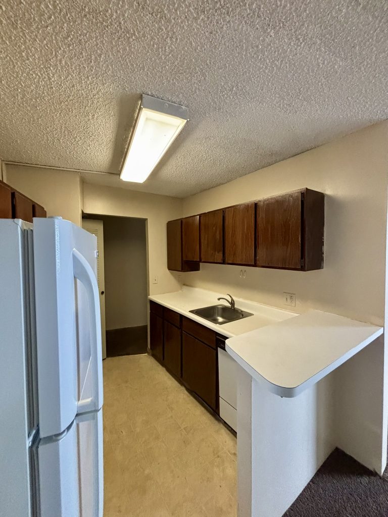 Kitchen Apartment rental