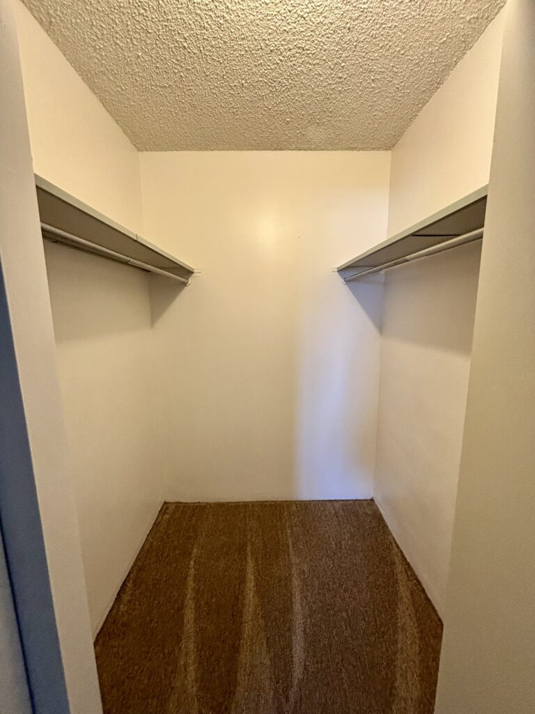 Walk-in closet in apartment for rent