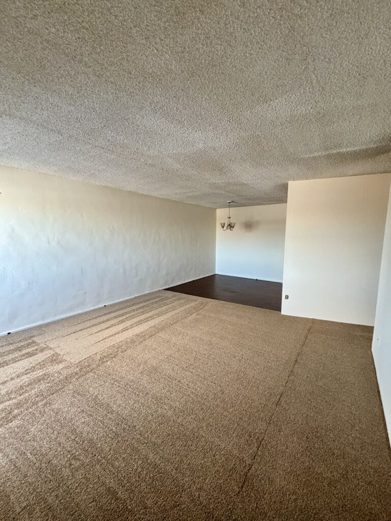 Student Housing apartment near UB
